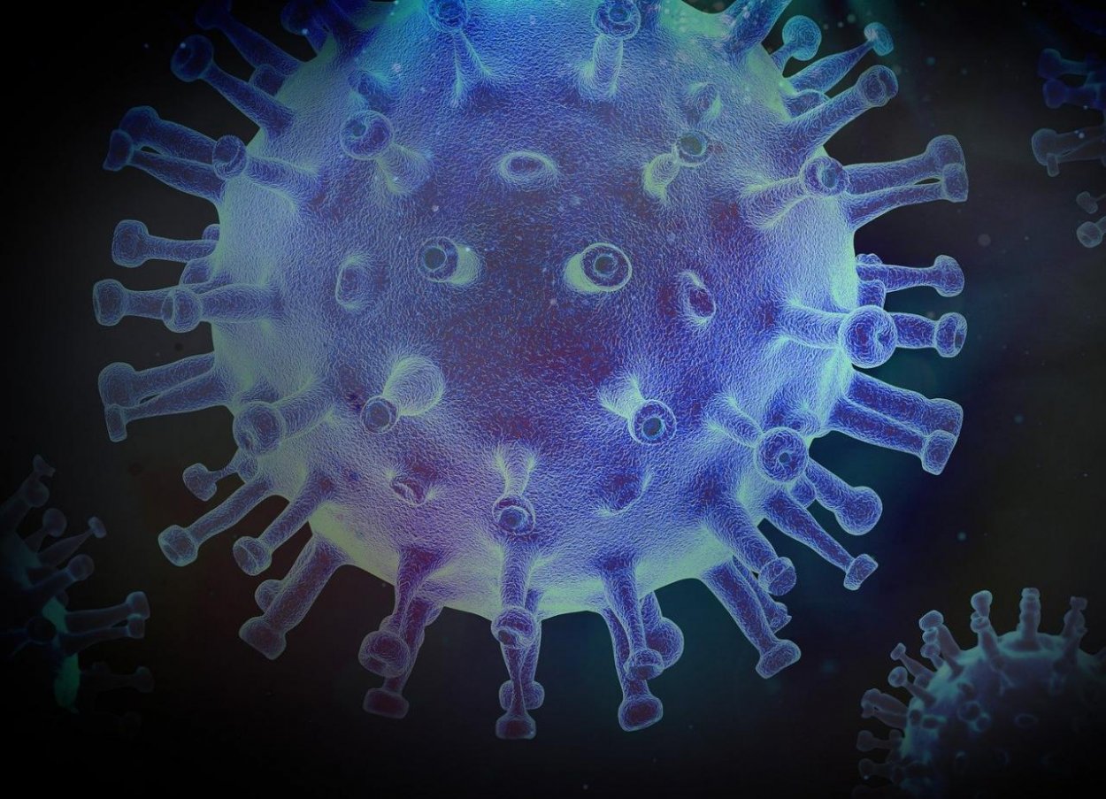 Všetko o koronavíruse – vznik, príznaky, šírenie
