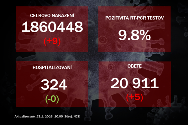 Koronavírus ONLINE: V nedeľu pribudlo päť obetí